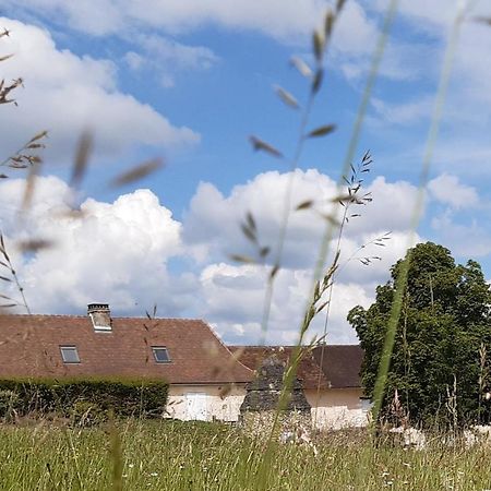Gites Le Clos De Lamie Avec 2 Piscines Privees Fossemagne エクステリア 写真